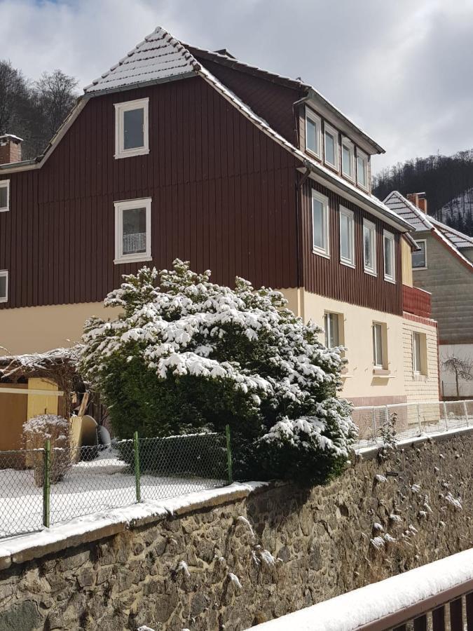 Ferienhaus Am Fluss Mit Traumhafter Dachterrasse ,Garten Und Grill Walkenried Ngoại thất bức ảnh